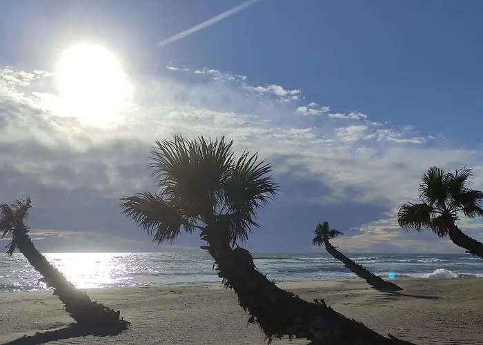 아파트 Moderne, A 50m 르발카레스